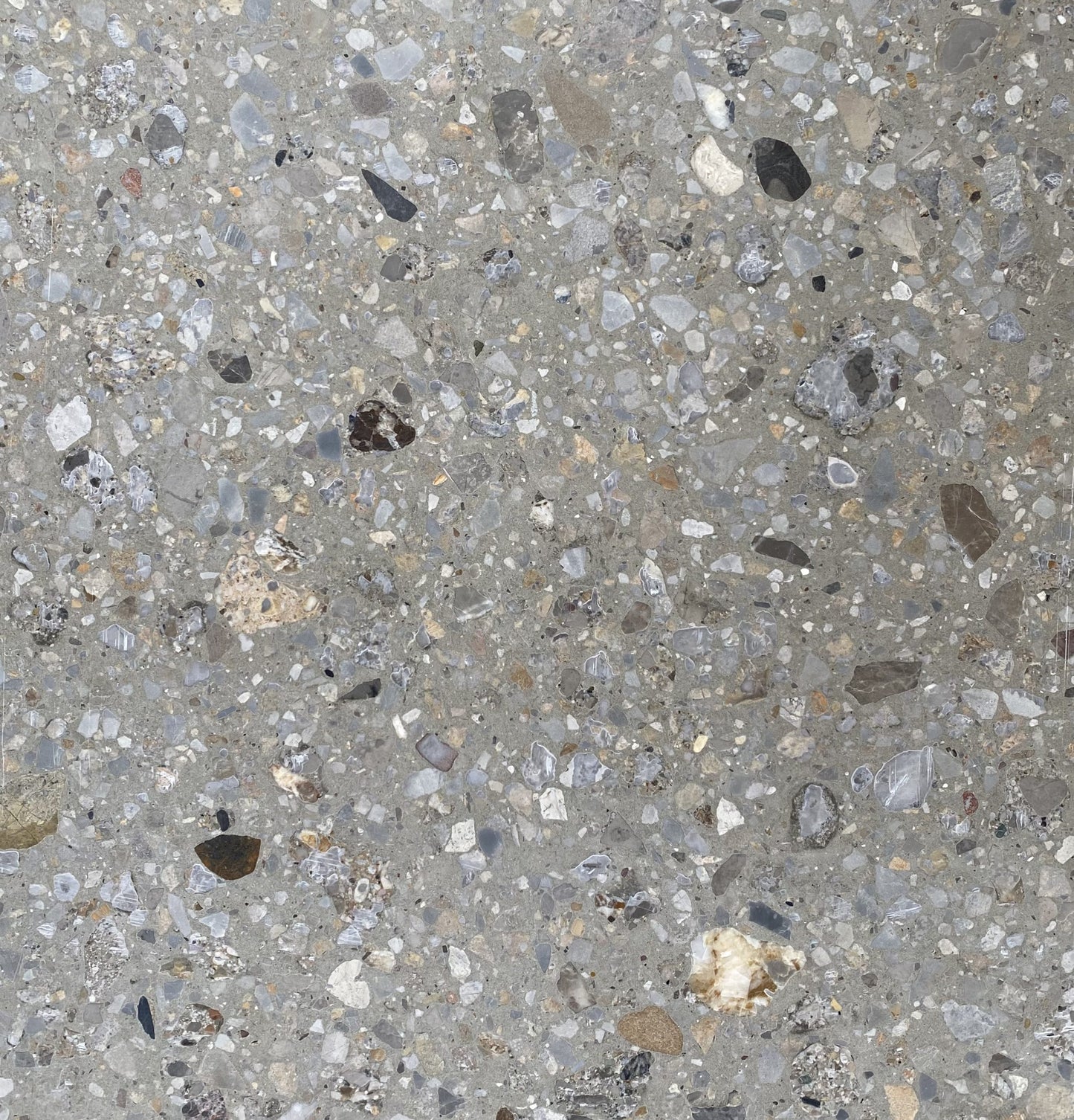 Denver Terrazzo